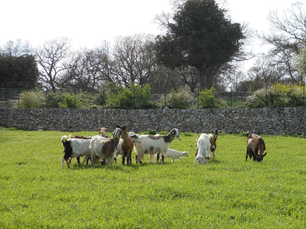 마르티나프란카 Agriturismo Masseria Casedde Vecchie 빌라 외부 사진