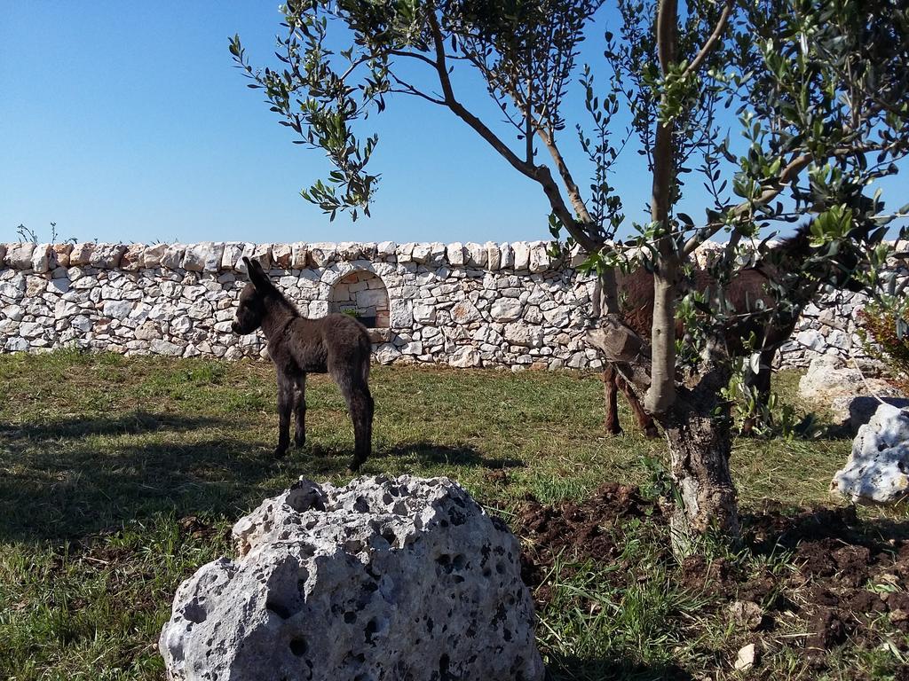 마르티나프란카 Agriturismo Masseria Casedde Vecchie 빌라 외부 사진